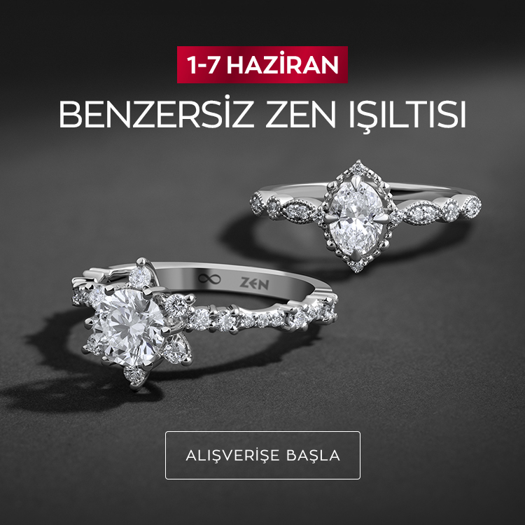 Benzersiz Zen Işıltısı - Haziran