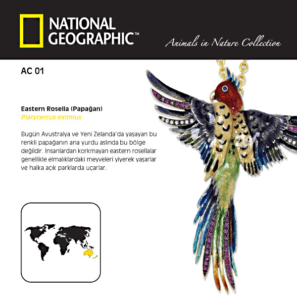 0,62 Karat National Geographic - Animals in Nature - Papağan Broş ve Kolye